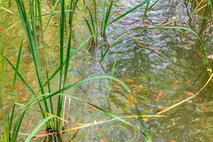 136 Honeybell Ln, Blairsville, GA 30512 - Photo 1