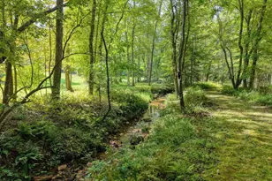 136 Honeybell Ln, Blairsville, GA 30512 - Photo 55