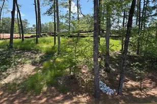 3383 Milan Ct, Douglasville, GA 30135 - Photo 33