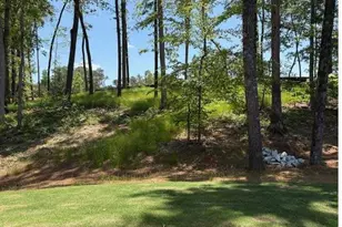 3383 Milan Ct, Douglasville, GA 30135 - Photo 31