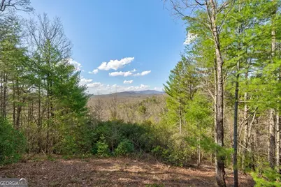 425 Rhonda Lane, Mineral Bluff, GA 30559 - Photo 57