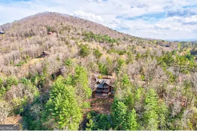 425 Rhonda Lane, Mineral Bluff, GA 30559 - Photo 59