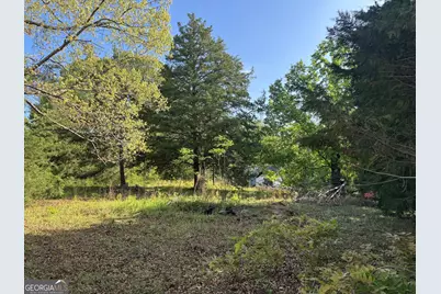 104 Old Perry Road, Bonaire, GA 31005 - Photo 3