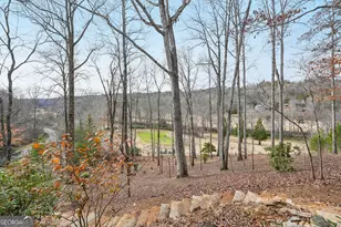 1259 Birch River Dr, Dahlonega, GA 30533 - Photo 67