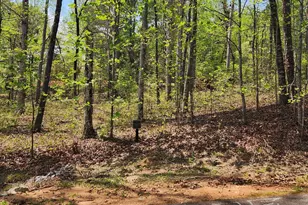 86 Edgewater Trail S, Toccoa, GA 30577 - Photo 1