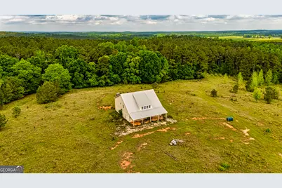 423 Coweta Heard Road, Hogansville, GA 30230 - Photo 7