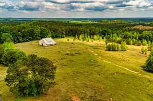 423 Coweta Heard Rd, Hogansville, GA 30230 - Photo 1