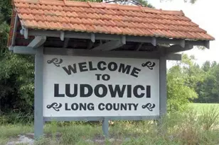 293 Cutters Gap, Ludowici, GA 31316 - Photo 31