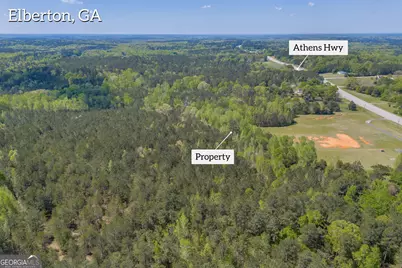 0 Athens Highway, Elberton, GA 30635 - Photo 15