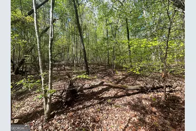 0 Shore Crest Drive #LOT 15, Martin, GA 30557 - Photo 1