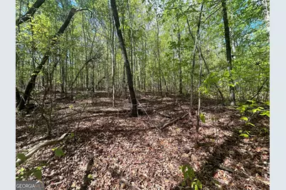 0 Shore Crest Drive #LOT 15, Martin, GA 30557 - Photo 7