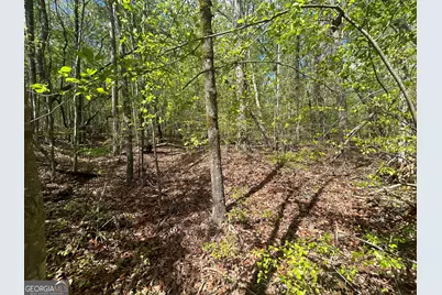 0 Shore Crest Drive #LOT 15, Martin, GA 30557 - Photo 3