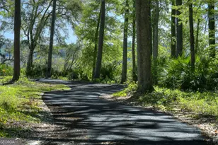 493 Harbor View Dr, Woodbine, GA 31569 - Photo 3