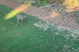 1002 Farmington Rd, Griffin, GA 30224 - Photo 19