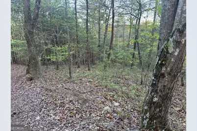 1057 Mayfield Lane NE, Ranger, GA 30734 - Photo 9