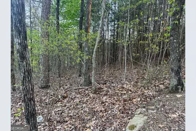 1057 Mayfield Lane NE, Ranger, GA 30734 - Photo 13