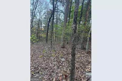 1057 Mayfield Lane NE, Ranger, GA 30734 - Photo 11