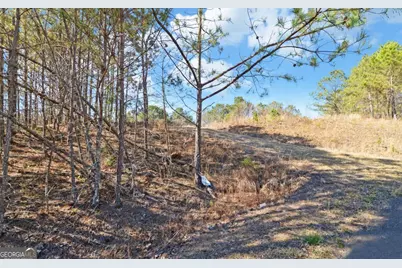L 29&amp;30 Eastside Drive, Ellijay, GA 30540 - Photo 13