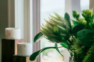 1281 E Main St, Blue Ridge, GA 30513 - Photo 47