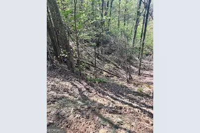 450 Wild Turkey Bluff, Dawsonville, GA 30534 - Photo 7