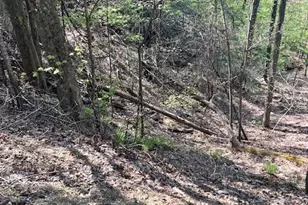 450 Wild Turkey Bluff, Dawsonville, GA 30534 - Photo 7