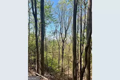 450 Wild Turkey Bluff, Dawsonville, GA 30534 - Photo 3