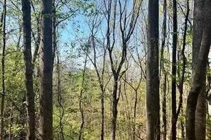 450 Wild Turkey Bluff, Dawsonville, GA 30534 - Photo 3