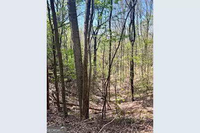 450 Wild Turkey Bluff, Dawsonville, GA 30534 - Photo 5