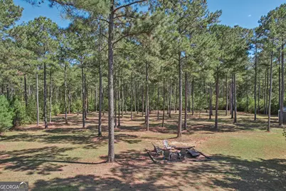 55 Fox Hall Crossing E, Senoia, GA 30276 - Photo 65