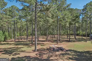 55 Fox Hall Crossing E, Senoia, GA 30276 - Photo 65