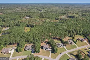 55 Fox Hall Crossing E, Senoia, GA 30276 - Photo 67