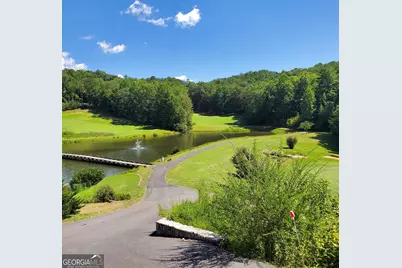 0 Rosen Strasse #LOT, Helen, GA 30545 - Photo 5