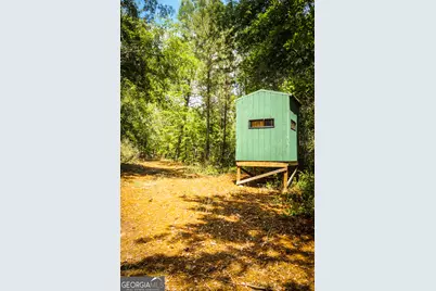 5524 Hooker Branch Road, Millen, GA 30442 - Photo 73