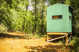 5524 Hooker Branch Rd, Millen, GA 30442 - Photo 73