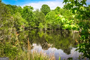 5524 Hooker Branch Rd, Millen, GA 30442 - Photo 21