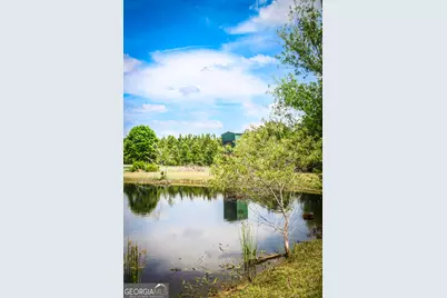 5524 Hooker Branch Road, Millen, GA 30442 - Photo 31