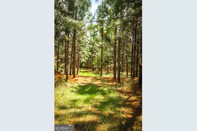 5524 Hooker Branch Road, Millen, GA 30442 - Photo 81