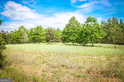 5524 Hooker Branch Road, Millen, GA 30442 - Photo 25