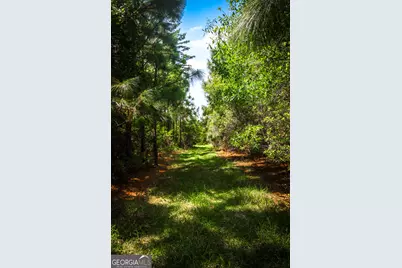 5524 Hooker Branch Road, Millen, GA 30442 - Photo 85