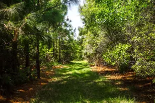 5524 Hooker Branch Rd, Millen, GA 30442 - Photo 85