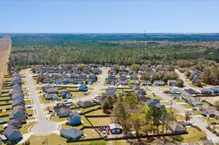 717 Noel C Conaway Rd, Guyton, GA 31312 - Photo 11