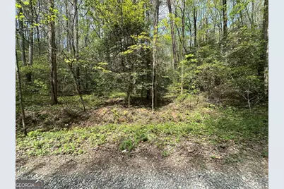 Lot 20 Big Ben Road #20, Ellijay, GA 30540 - Photo 5