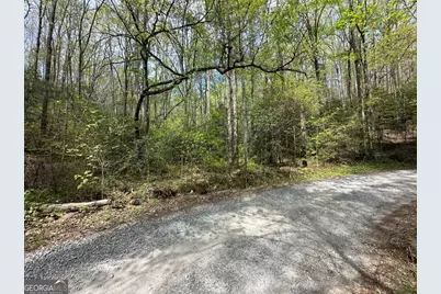 Lot 20 Big Ben Road #20, Ellijay, GA 30540 - Photo 1