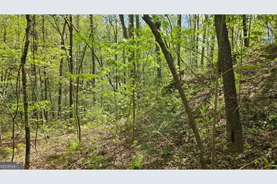 0 Heavenly Circle #12, Clayton, GA 30525 - Photo 23