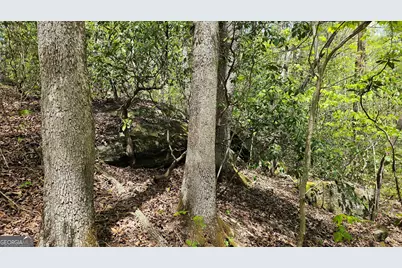 0 Heavenly Circle #12, Clayton, GA 30525 - Photo 19