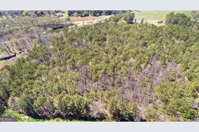 461 Old Jackson Road, McDonough, GA 30252 - Photo 39