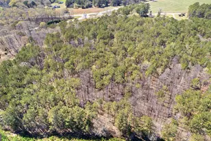 461 Old Jackson Rd, McDonough, GA 30252 - Photo 39