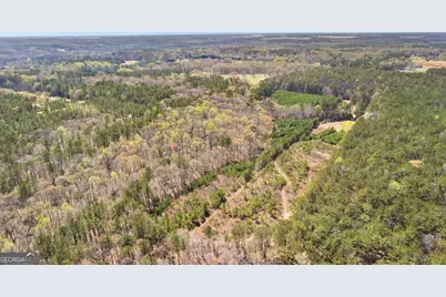 461 Old Jackson Road, McDonough, GA 30252 - Photo 41