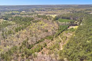 461 Old Jackson Rd, McDonough, GA 30252 - Photo 41