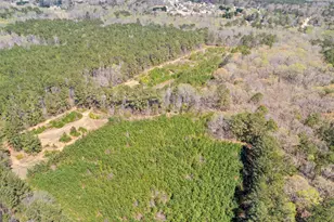 461 Old Jackson Rd, McDonough, GA 30252 - Photo 37